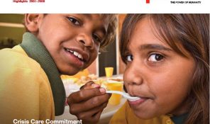 2 Red Cross annual report - Samples hmpg